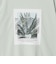 ＜Phospho Graphica＞グラフィック 半袖 Tシャツ カットソー