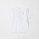 【WEB限定】＜THE NORTH FACE＞ハーフドーム スクエア ロゴ 半袖 Tシャツ