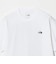 【WEB限定】＜THE NORTH FACE＞ロッククライミング グラフィック 半袖 Tシャツ