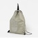 【WEB限定】＜THE NORTH FACE＞ピーエフ サックパック（13L）