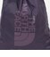 【WEB限定】＜THE NORTH FACE＞ピーエフ サックパック（13L）
