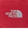 【WEB限定】＜THE NORTH FACE＞テルス リュック（20L）/ キッズ