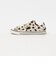 【WEB限定】＜CONVERSE＞オールスター エイジド LP FA OX スニーカー