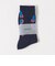 ＜ROSTER SOX＞ギャラクシー ソックス