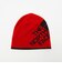 【WEB限定】＜THE NORTH FACE＞リバーシブルTNFバナービーニー ニットキャップ
