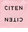 ＜CITEN＞ロゴ ステートメント プリントバッグ