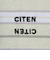 ＜CITEN＞ランダムボーダーロンT