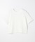 レースショート丈Tシャツ