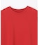 プレミアムコットンベーシックＴシャツ