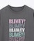 ピグメントアソートロゴＴシャツ