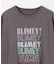 ピグメントアソートロゴＴシャツ