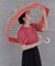 【WEB限定】Plantica×Wpc.コラボ フラワー 長傘
