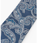 【LUXURY SILK】ペイズリー ネクタイ