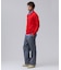 【TAILORD KNIT】コットンカシミヤ スキッパー ニットポロシャツ
