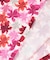 【WOMEN】【UVカット】草花柄プリントポロシャツ