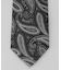 GOTAIRIKU別注【日本製】シルク ネクタイ_ペイズリー