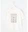 【カタログ掲載】アートグラフィック Tシャツ