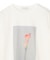 【洗える・クロワッサン 掲載】PENTAS / オリジナルフォトプリントＴシャツ