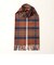 【Johnstons of Elgin/ジョンストンズ・オブ・エルガン】WA57 CASHMERE SCARF 35