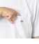 【DANTON/ダントン】POCKET T-SHIRT DT-C0198
