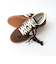 【CONVERSE/コンバース】ROADCLASSIC SK OX 25AW