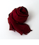 【SWOLE PANDA/スウォールパンダ】Bamboo Scarf Plain 30