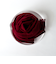 【SWOLE PANDA/スウォールパンダ】Bamboo Scarf Plain 30
