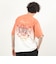 【PENDLETON/ペンドルトン】Gradation dye Back Print S/S T 26SS