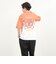 【PENDLETON/ペンドルトン】Gradation dye Back Print S/S T 26SS