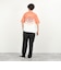 【PENDLETON/ペンドルトン】Gradation dye Back Print S/S T 26SS