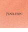 【PENDLETON/ペンドルトン】Gradation dye Back Print S/S T 26SS