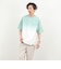 【PENDLETON/ペンドルトン】Gradation dye Back Print S/S T 26SS