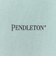 【PENDLETON/ペンドルトン】Gradation dye Back Print S/S T 26SS