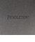 【PENDLETON/ペンドルトン】Gradation dye Back Print S/S T 26SS