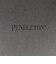 【PENDLETON/ペンドルトン】Gradation dye Back Print S/S T 26SS