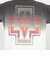 【PENDLETON/ペンドルトン】Gradation dye Back Print S/S T 26SS