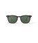 【IZIPIZI/イジピジ】SUN POLARIZED#E Iconic trapeze