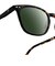 【IZIPIZI/イジピジ】SUN POLARIZED#E Iconic trapeze