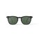【IZIPIZI/イジピジ】SUN POLARIZED#E Iconic trapeze