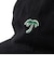 【COOPERSTOWN BALL CAP/クーパーズタウン ボールキャップ】WEST PALM BEACH TROPICS DAD CAP