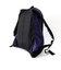 【GREGORY/グレゴリー】DAYPACK CORDURA ULTRA VIOLET