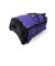 【GREGORY/グレゴリー】DAYPACK CORDURA ULTRA VIOLET