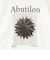【一部WEB限定色アイテム】【karl blossfeldt】プラントフォトＴシャツ
