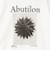 【一部WEB限定色アイテム】【karl blossfeldt】プラントフォトＴシャツ