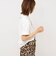 【一部WEB限定色アイテム】【karl blossfeldt】プラントフォトＴシャツ