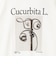 【一部WEB限定色アイテム】【karl blossfeldt】プラントフォトＴシャツ