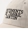 【DANTON/ダントン】＃DT-H0377 DCN 6P LOGO CAP