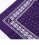 Ambigram goodman bandana