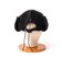 【halo commodity/ハロ コモディティー】h263-3003 Lock Flap Cap