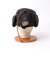 【halo commodity/ハロ コモディティー】h263-3003 Lock Flap Cap